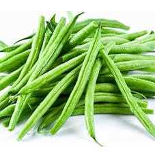 Haricot Vert – Extra Fine Green Beans