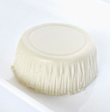 Plain Panna Cotta