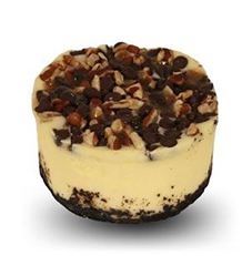 Turtle Cheesecake 3″