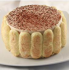 Tiramisu 8″